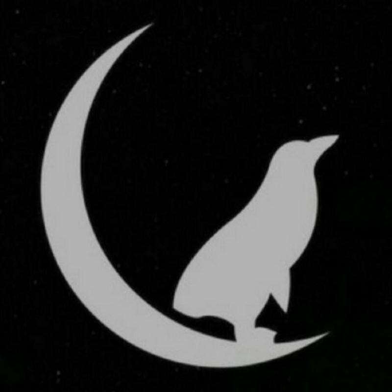 Late Night Linux logo
