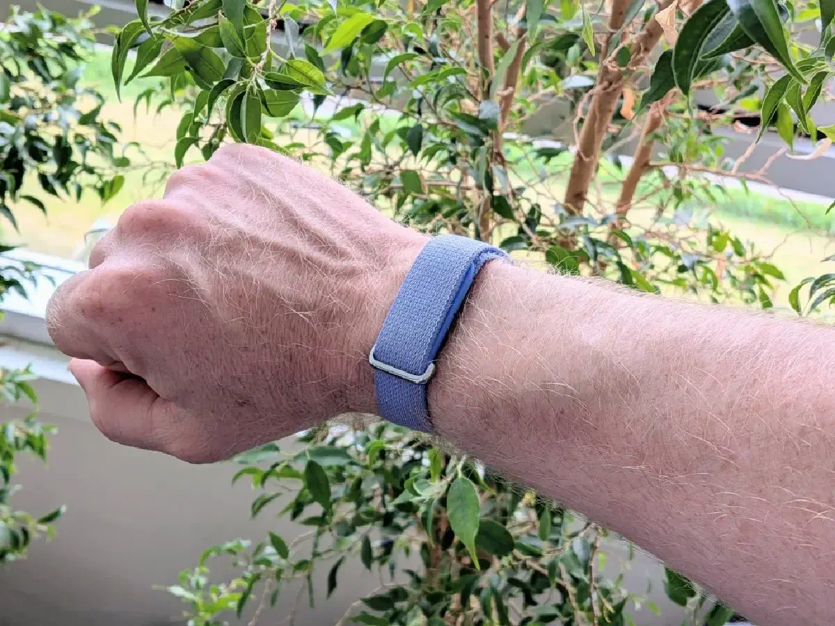 Google Fitbit Air Review