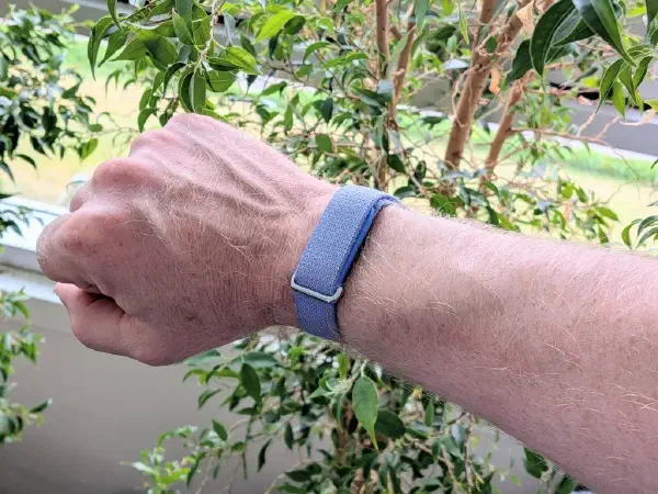Google Fitbit Air Review