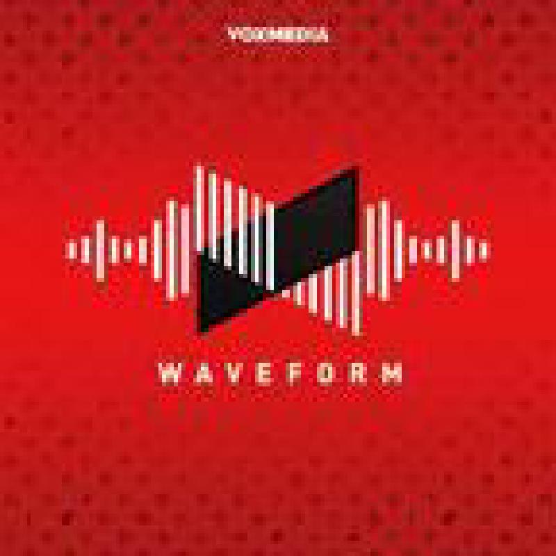 Waveform Podcast logo