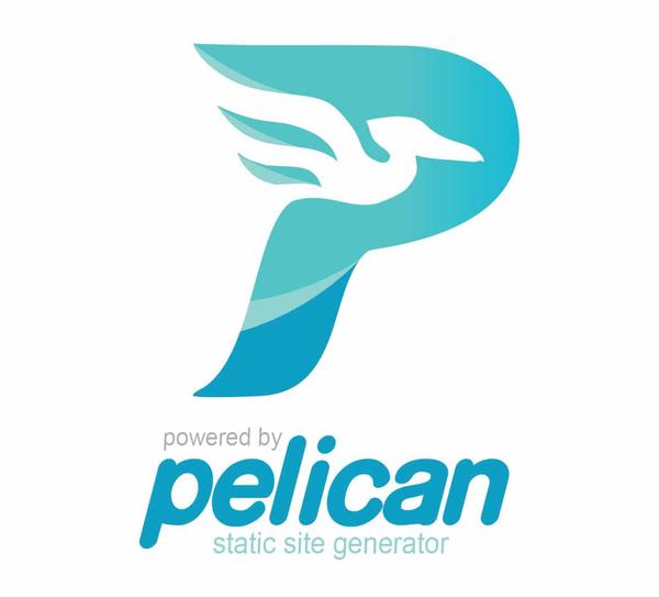 There Is a Pelican in My Blog